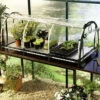 Bio Green Jumbo Propagator -Green Garden World l image 104948