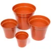 Flower Pots - Pack Of 10 (152mm Diameter) -Green Garden World l image 82999 500x500