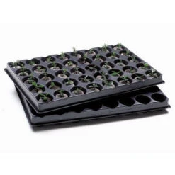 Jiffy Trays - Pack Of 2 With 80 - 42mm Blocks