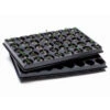 Jiffy Trays - Pack Of 5 With 200 - 42mm Blocks -Green Garden World l image 85613 500x500