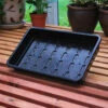 Economy Seed Trays - Pack Of 25 -Green Garden World l image 91524 500x500