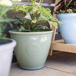Kelkay Plant Avenue Trad. Collection Large Eden Emblem Pot In Green