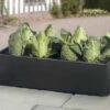 Mini Raised Bed - Special Offer Pack Of 2 -Green Garden World l mini growbed 3ft x 20