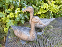 Pair Of Duck Garden Ornaments In Cast Aluminium With Antique Bronze Finish -Green Garden World l pair of ducks 4