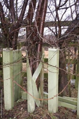 Rainbow Tree Defenders With Stakes - 120cm Tall - X10 4 Rainbow Tree Defenders With Stakes - 120cm Tall - X10 - Image 2
