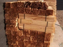 Rainbow Tree Defenders With Stakes - 75cm Tall - X10 -Green Garden World l s l500 2