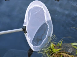 Hozelock Telescopic Pond Skimmer Net