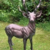 Standing Stag Aluminium Sculpture, Buck, 67cm Tall 1 Standing Stag Aluminium Sculpture, Buck, 67cm Tall -Green Garden World l stag67cm