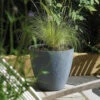 Stewart 40cm Low Round Beton Planter In Dark Grey 1 Stewart 40cm Low Round Beton Planter In Dark Grey -Green Garden World l stewart beton round low