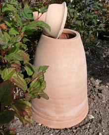 60cm Terracotta Rhubarb Forcer / Clay Cloche