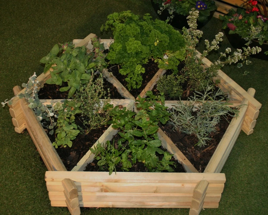 Medium Softwood Herb Wheel 3 Medium Softwood Herb Wheel